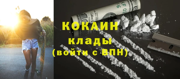 PSILOCYBIN Волосово