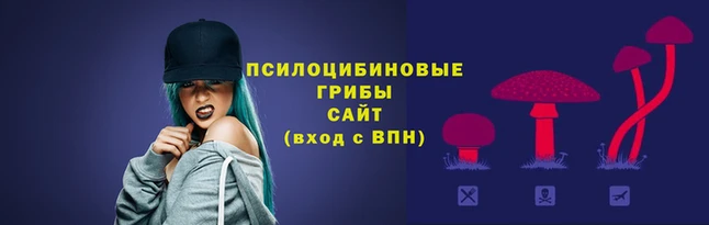 каннабис Володарск