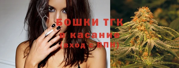 PSILOCYBIN Волосово